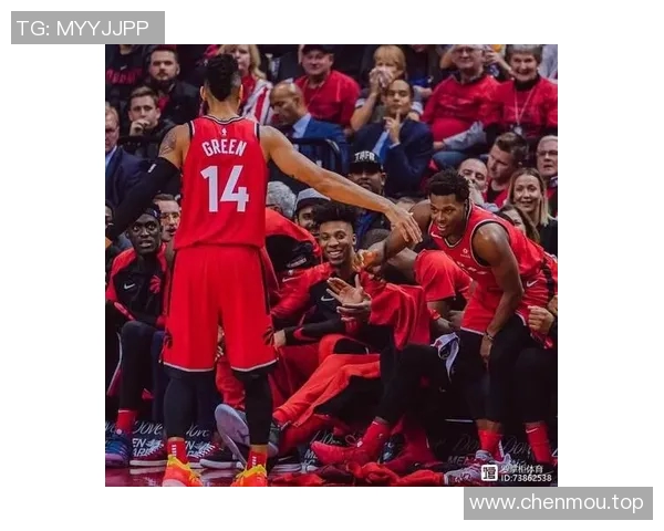 猛龙背后的故事：从少年到巨星之路